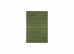 Buitentapijt Brandon 80x150cm - polypropyleen - groen