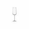 Champagneglas Planeo 24cl - glas - transparant set van 4