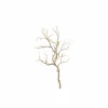 Decoratietak Drift Wood H93cm