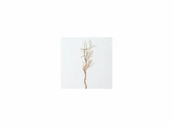 Decoratietak Drift Wood H93cm