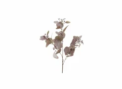 Decoratietak Eucalyptus H86cm