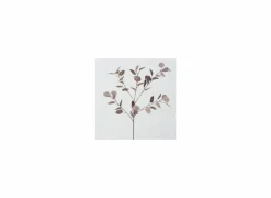 Decoratietak Eucalyptus H91cm