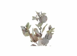 Decoratietak Eucalyptus H90cm
