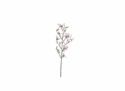 Decoratietak Magnolia H75cm