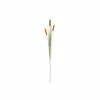 Decoratietak Riet H100cm