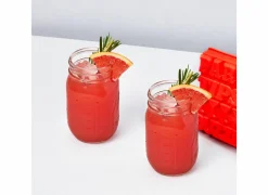 Ijsblokjesvorm Party