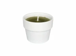 Kaars in witte terracotta pot H10cm fresh lime