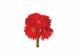 Kunstbloem Gerbera H26cm, 7 stuks