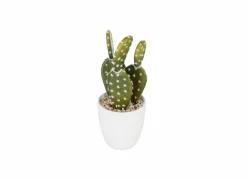 Kunstplant Cactus H18cm