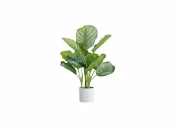 Kunstplant Calathea H48cm
