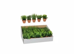 Kunstplant Kruiden in pot H18cm