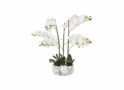 Kunstplant Orchidee H65cm