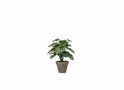 Kunstplant Peperomia + pot Stan H24cm