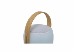 LED Speaker Firefly H25,5cm