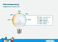 Ledlamp Retro Classic 5,9W E27