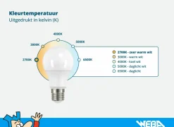 Ledlamp Retrofit Classic 16W E27