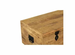 Opbergkoffer Josh 120x60x50cm - mango massief - naturel