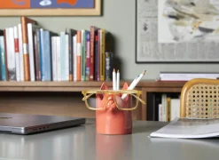 Pennen- en brilhouder Kat