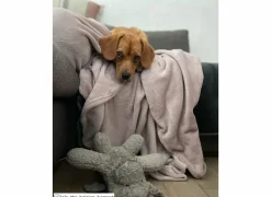 Plaid 150x200cm - microvezel - oudroze