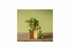 Plantenstandaard Large H19,5cm bamboe naturel