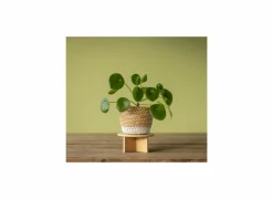 Plantenstandaard Small H8,5cm bamboe naturel