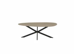 Salontafel Erynor 120x60cm - melamine - naturel