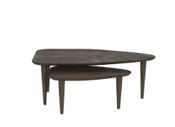 Salontafel Ginger 110x64/69x49cm - mango massief - naturel set van 2