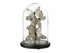 Stolp Vlinder H26cm - glas - zwart & transparant