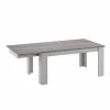Tafel Eline 170/220x100cm - decor - white oak & autumn oak