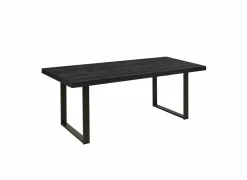 Tafel Raphael 230x100cm - melamine - NOX