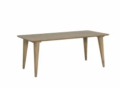 Tafel Tiresias 190x100cm - mango massief - naturel