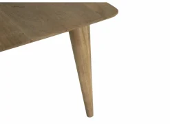 Tafel Tiresias 190x100cm - mango massief - naturel