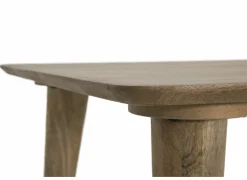 Tafel Tiresias 190x100cm - mango massief - naturel