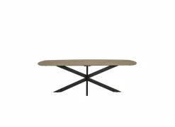 Tafel 240x100cm - HPL - naturel