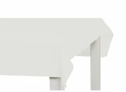 Tafelkleed Teflon 150x290cm - stof - wit