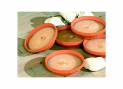 Tuinkaars Royal Flame 13u ivoor